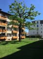 Liegenschaft