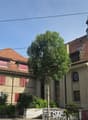 Listing picture