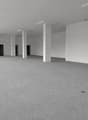 Empty room, white walls, gray carpet, four pillars, four doors, windows on the left wall
