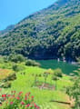 Ein kleines Paradies zwischen Stein und Wasser 21