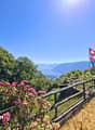 Ein Ort der Ruhe hoch über dem Lago Maggiore 1004