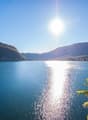 Immagine dell’oggetto