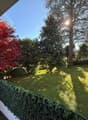 lawn, hedge, trees, sun shining, view from balcony