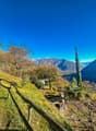 hillside garden with wooden fence, small house, plants, mountains in the background