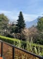 Balcony with glass railings, tiled floor, hedges, trees, mountain view
