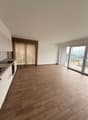 Modern minimalist kitchen, balcony, wooden flooring