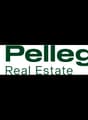 The image shows the logo for Pellegrin Real Estate, which consists of the company name 'Pellegrin Real Estate' written in green text against a black background.