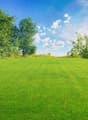 Well-maintained lawn, trees, bushes, blue sky, white clouds