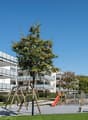 Ebikon_Zugerstrasse_43_Web.jpg