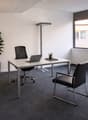 modern office with white walls, gray carpet, white desk, black office chairs, floor lamp, potted plants, cabinets, and a laptop