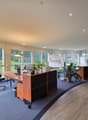 modern office with large windows, wooden desk, office chairs, and potted plants