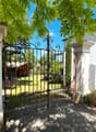 Open gate, wide gravel pathway, garden with various plants, trees, and a shed in the background