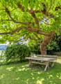 Sitzplatz im Grünen
