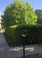 Listing picture