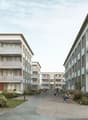 295_liestal-1600x1600.jpg