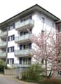 Westfassade