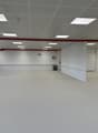 Empty room with white carpet, white walls, red strip on ceiling, windows on the left side.