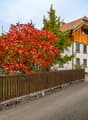 Listing picture