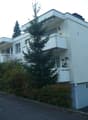 Listing picture