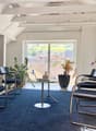 Spacious office space with large windows overlooking a scenic view, modern furniture including black chairs and a glass-top table, and various potted plants decorating the room.