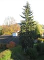 Blick vom Balkon ins Grüne