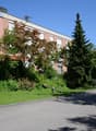 Listing picture