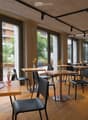 Wooden floor, modern chairs and tables, full length glass windows, plants outside
