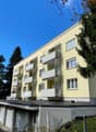Apartment building with yellow facade, balconies, two garages, and plants in front