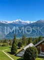 Vue panoramique spectaculaire sur les Alpes