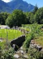 Rilassante ruscello confinante