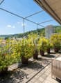 Superbe terrasse vue à 360°