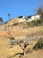 Terreno soleggiato