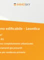 Banner Leontica
