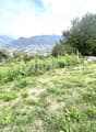 Vista frontale con accesso carrabile