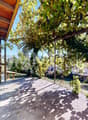 Belle terrasse entourée de vignes