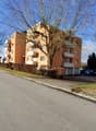 Haus