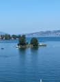 Aussicht auf Zürichsee