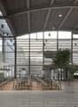 modern building, large windows, open space, tables and chairs, green wall, tree, gray floor
