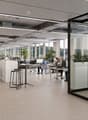 modern office space with glass walls, white cabinets, desks, chairs, plants, and people working