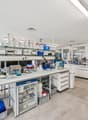 Modern lab interior, stainless steel lab benches, white cabinets, safety signs, various lab equipment and glassware, floor-mounted shelves, stainless steel appliances, and large windows.
