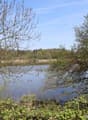Teil Bommer Weiher