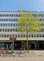 Image de l’objet