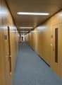 Long hallway with wooden paneled walls, fluorescent lighting fixtures, and a carpeted floor.