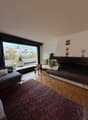 fireplace, couch, rug, lamp, large windows, garden view