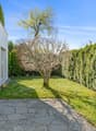 private garden with lawn, tree, hedges, paved patio