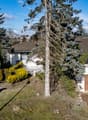 Detached house, gable roof, white walls, brown roof, wooden garage, trees, bushes, bench