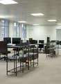 Open plan office, desks, black office chairs, computer monitors, beige carpet, glass walls, large windows, potted plants