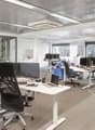 modern office layout, multiple desks, ergonomic chairs, computer monitors, adjustable height tables, large windows, white ceiling and floor