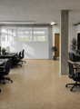 modern office setup, black desks, black swivel chairs, white walls, large windows, plants, and monitors