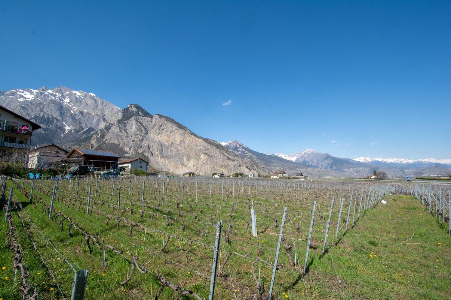 Terrain StPierredeClages ImmoScout24